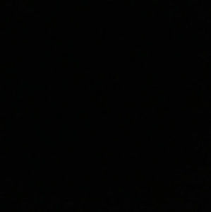 Meet your Posher, Audrey